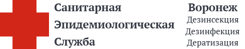 СЭС Воронежа