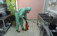 Услуги дезинсекции в Воронеже